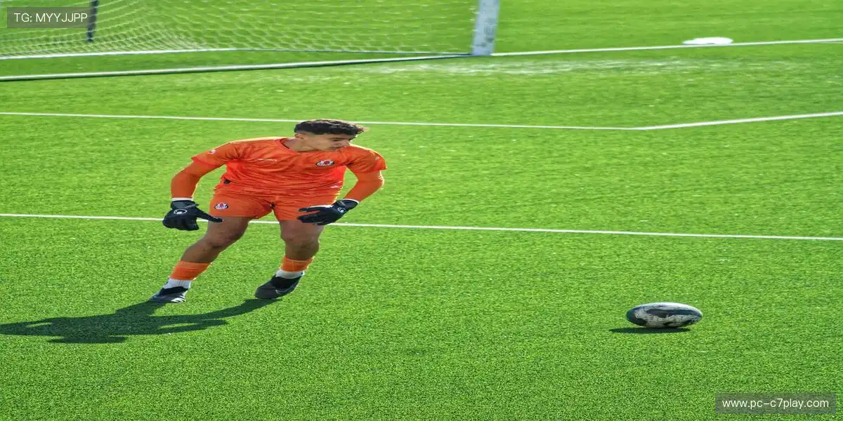 鹰眼追踪技术·为荣耀背书🏅